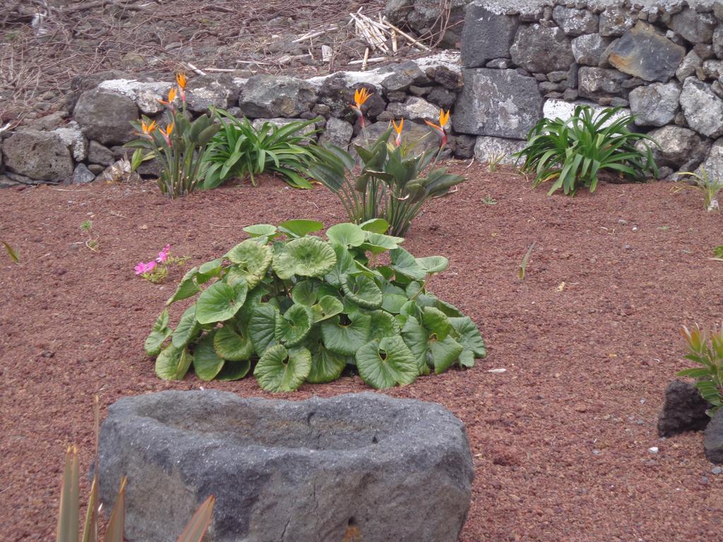 Casa Da Vigia Apartment Calheta de Nesquim Luaran gambar